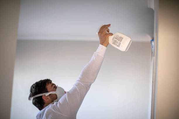 Best Professional Mold Removal  in Havana, FL