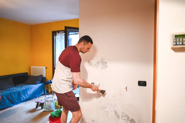 Best Mold Remediation  in Havana, FL